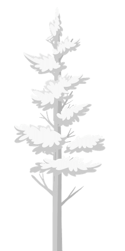 tree image